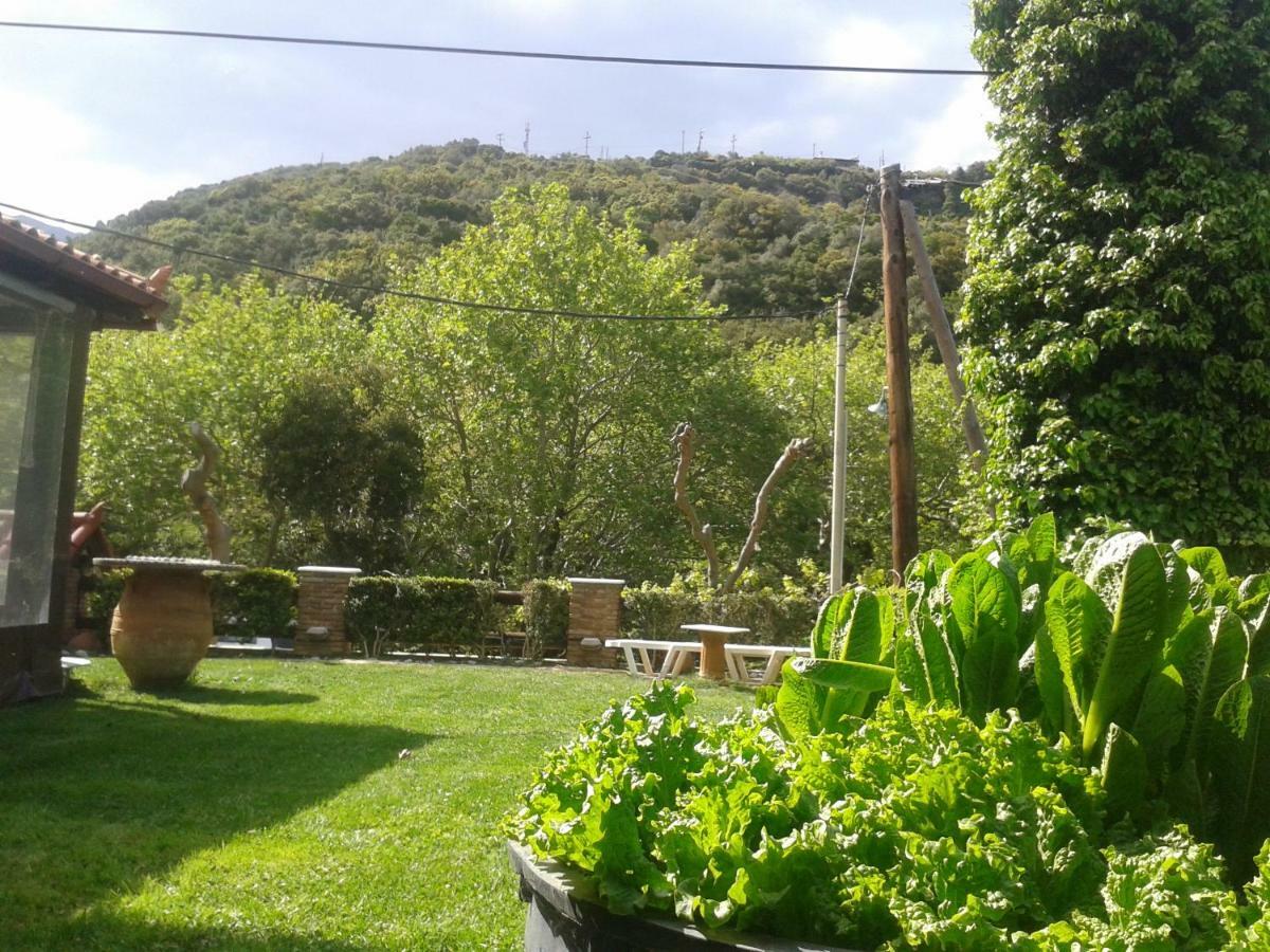 Kalogirou Stone House Apartment Limnionas  Bagian luar foto